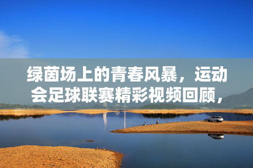 绿茵场上的青春风暴，运动会足球联赛精彩视频回顾，绿茵青春风暴，运动会足球联赛精彩回顾