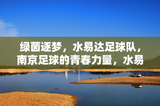 绿茵逐梦，水易达足球队，南京足球的青春力量，水易达足球队，绿茵逐梦，南京青春力量