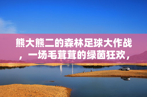 熊大熊二的森林足球大作战,一场毛茸茸的绿茵狂欢,熊大熊二的森林足球狂欢