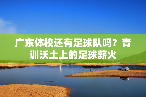 广东体校还有足球队吗？青训沃土上的足球薪火