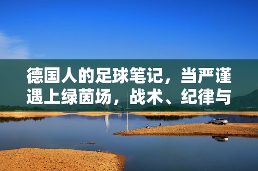 德国人的足球笔记，当严谨遇上绿茵场，战术、纪律与激情的影像解码，德国足球笔记，严谨、纪律、激情的绿茵影像解码