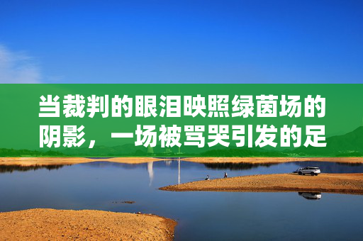 当裁判的眼泪映照绿茵场的阴影，一场被骂哭引发的足球反思，裁判眼泪映绿茵阴影，一场被骂哭引发的足球反思