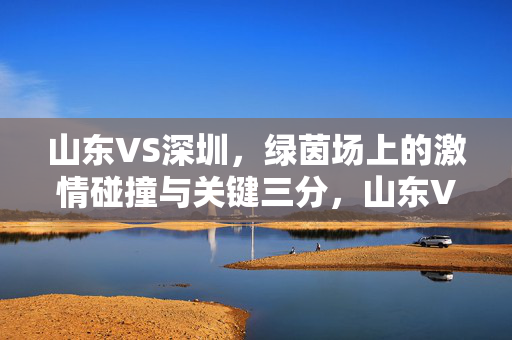 山东VS深圳，绿茵场上的激情碰撞与关键三分，山东VS深圳，绿茵场激情碰撞，关键三分定胜负