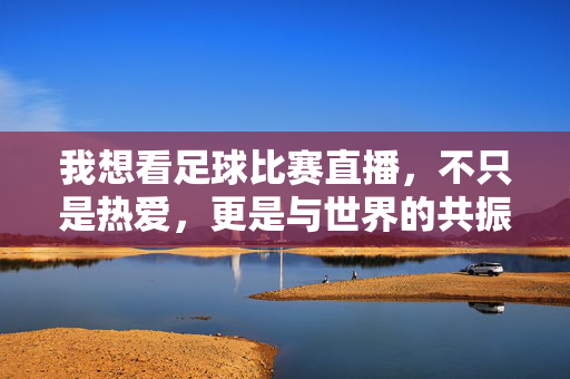 我想看足球比赛直播,不只是热爱,更是与世界的共振,足球直播,以热爱共振世界