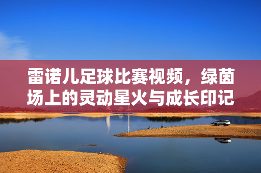 雷诺儿足球比赛视频，绿茵场上的灵动星火与成长印记，雷诺儿足球比赛视频，绿茵场上的灵动星火与成长印记