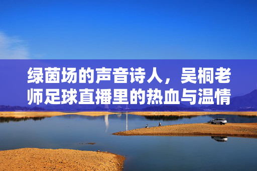 绿茵场的声音诗人，吴桐老师足球直播里的热血与温情，绿茵场的声音诗人，吴桐足球直播的热血与温情