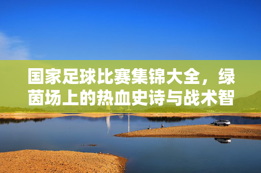 国家足球比赛集锦大全，绿茵场上的热血史诗与战术智慧，国家足球比赛集锦大全，绿茵热血史诗与战术智慧