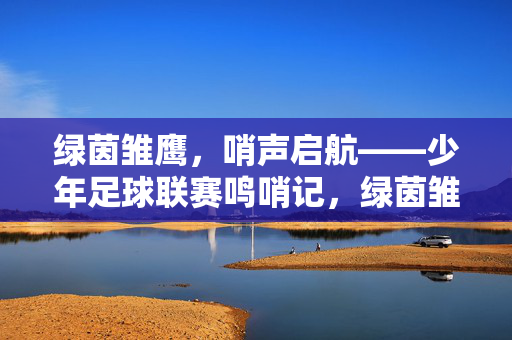 绿茵雏鹰，哨声启航——少年足球联赛鸣哨记，绿茵雏鹰，哨声启航