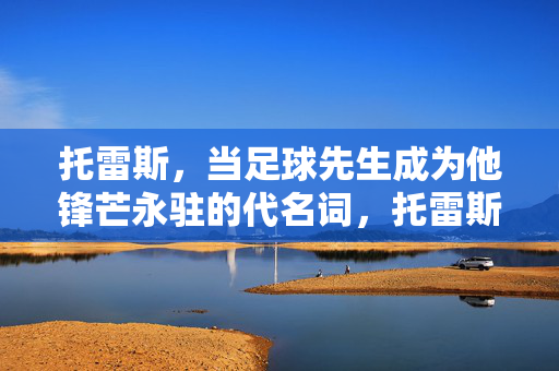 托雷斯,当足球先生成为他锋芒永驻的代名词,托雷斯,足球先生,锋芒永驻的代名词