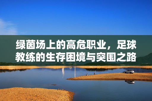 绿茵场上的高危职业,足球教练的生存困境与突围之路,足球教练,绿茵场高危职业的生存困境与突围