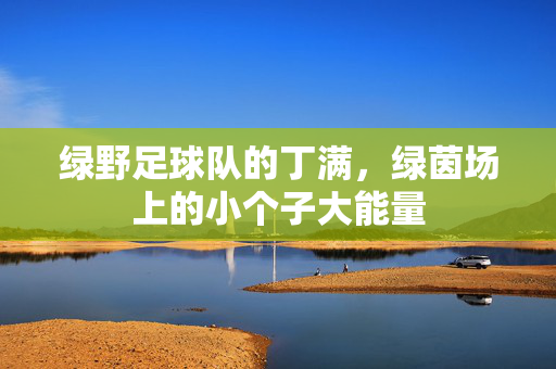 绿野足球队的丁满，绿茵场上的小个子大能量