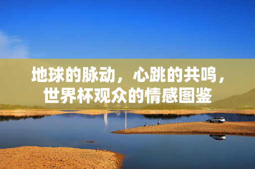地球的脉动，心跳的共鸣，世界杯观众的情感图鉴