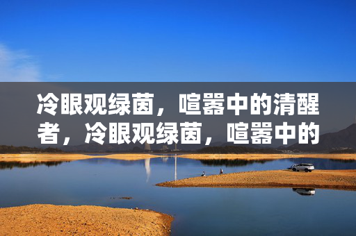 冷眼观绿茵,喧嚣中的清醒者,冷眼观绿茵,喧嚣中的清醒者