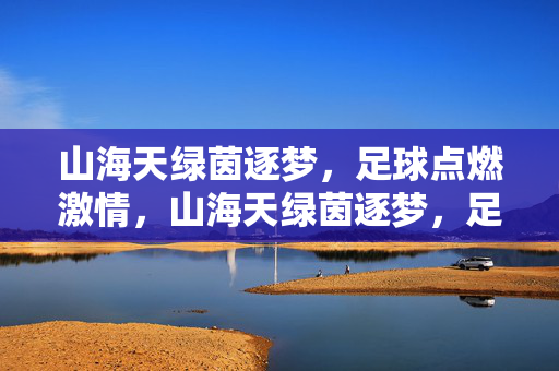 山海天绿茵逐梦，足球点燃激情，山海天绿茵逐梦，足球点燃激情