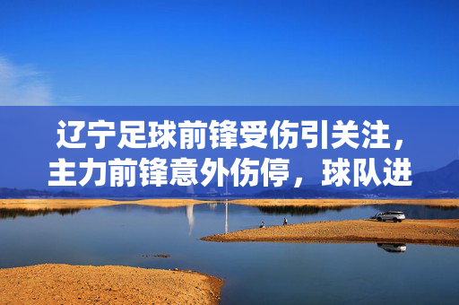 辽宁足球前锋受伤引关注，主力前锋意外伤停，球队进攻面临考验，辽宁足球主力前锋伤停 进攻面临考验