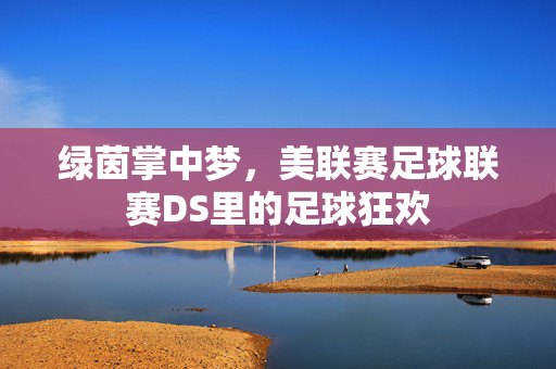 绿茵掌中梦，美联赛足球联赛DS里的足球狂欢
