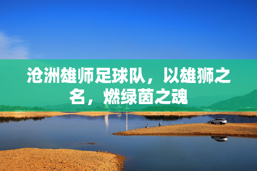 沧洲雄师足球队，以雄狮之名，燃绿茵之魂