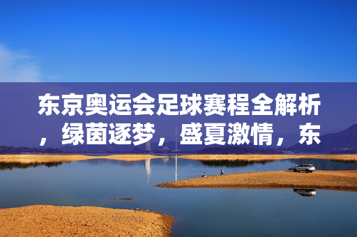 东京奥运会足球赛程全解析，绿茵逐梦，盛夏激情，东京奥运会足球赛程全解析，绿茵逐梦，盛夏激情