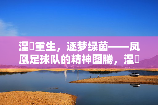 涅槃重生，逐梦绿茵——凤凰足球队的精神图腾，涅槃重生，逐梦绿茵——凤凰足球队的精神图腾