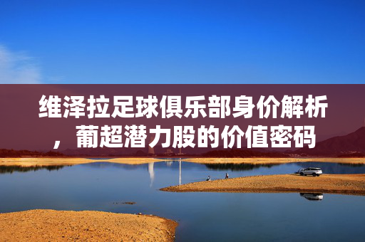 维泽拉足球俱乐部身价解析,葡超潜力股的价值密码