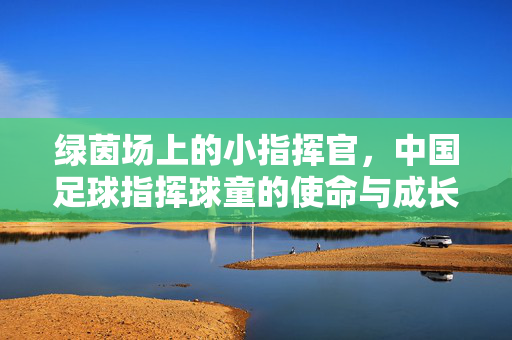 绿茵场上的小指挥官，中国足球指挥球童的使命与成长