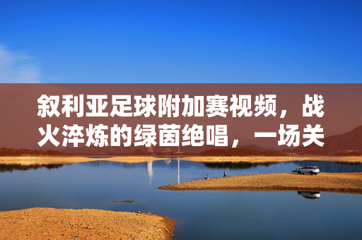 叙利亚足球附加赛视频，战火淬炼的绿茵绝唱，一场关于尊严与希望的生死战