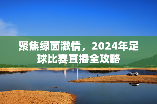 聚焦绿茵激情，2024年足球比赛直播全攻略