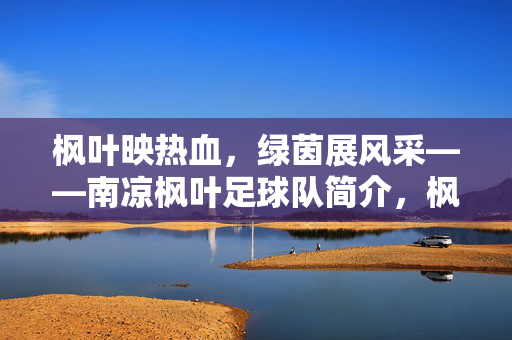 枫叶映热血，绿茵展风采——南凉枫叶足球队简介，枫叶映热血，绿茵展风采