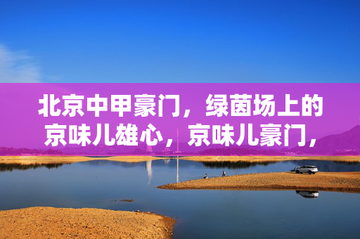 北京中甲豪门,绿茵场上的京味儿雄心,京味儿豪门,绿茵场上的雄心