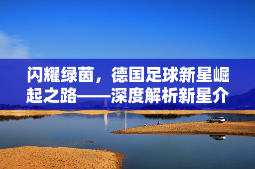 闪耀绿茵，德国足球新星崛起之路——深度解析新星介绍视频，德国新星崛起，闪耀绿茵之路