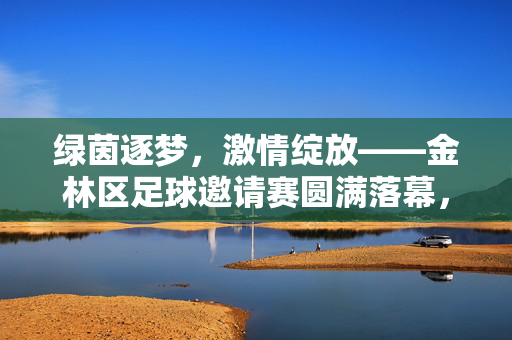 绿茵逐梦，激情绽放——金林区足球邀请赛圆满落幕，金林区足球邀请赛圆满落幕