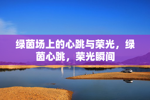 绿茵场上的心跳与荣光，绿茵心跳，荣光瞬间
