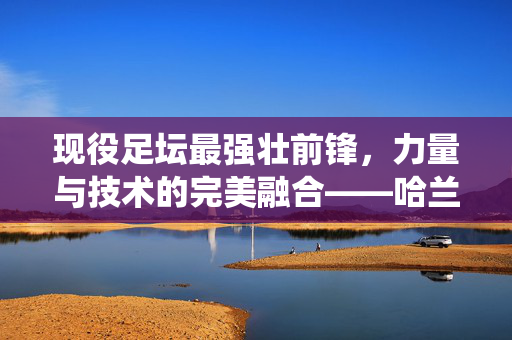 现役足坛最强壮前锋,力量与技术的完美融合——哈兰德领衔的力量型锋线巅峰解析,现役最强壮前锋哈兰德,力量与技术融合的力量型锋线巅峰
