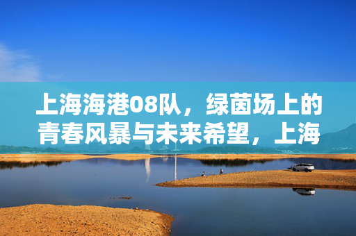 上海海港08队,绿茵场上的青春风暴与未来希望,上海海港08队,绿茵场上的青春风暴与未来希望