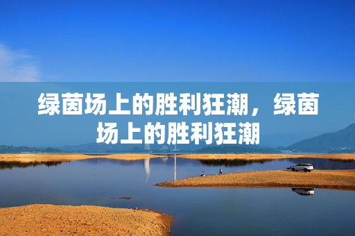 绿茵场上的胜利狂潮,绿茵场上的胜利狂潮