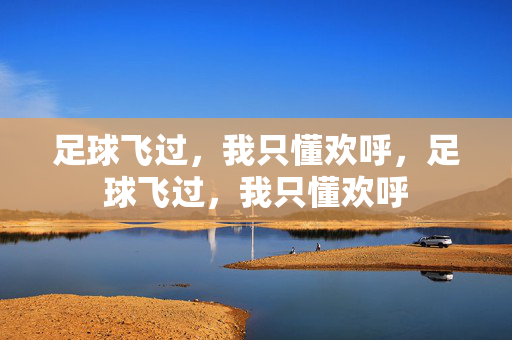 足球飞过，我只懂欢呼，足球飞过，我只懂欢呼