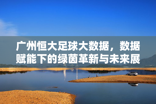 广州恒大足球大数据，数据赋能下的绿茵革新与未来展望，广州恒大足球大数据，数据赋能绿茵革新与未来展望