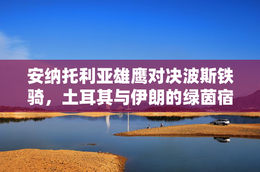 安纳托利亚雄鹰对决波斯铁骑,土耳其与伊朗的绿茵宿命,安纳托利亚雄鹰对决波斯铁骑,绿茵宿命