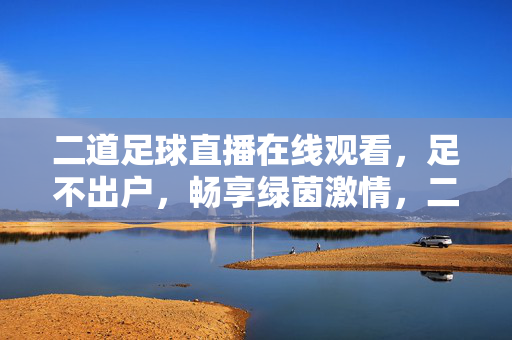 二道足球直播在线观看，足不出户，畅享绿茵激情，二道足球直播在线观看，足不出户畅享绿茵激情