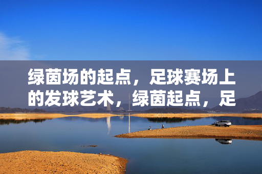 绿茵场的起点，足球赛场上的发球艺术，绿茵起点，足球发球艺术