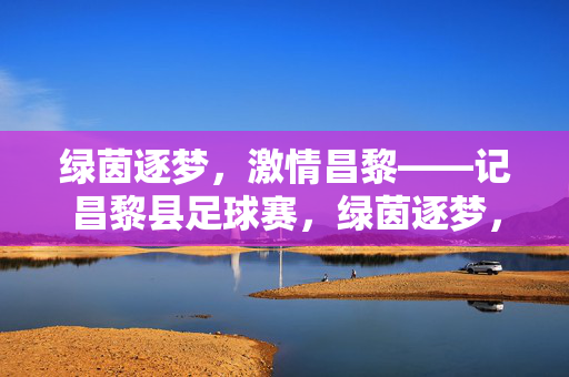 绿茵逐梦，激情昌黎——记昌黎县足球赛，绿茵逐梦，激情昌黎