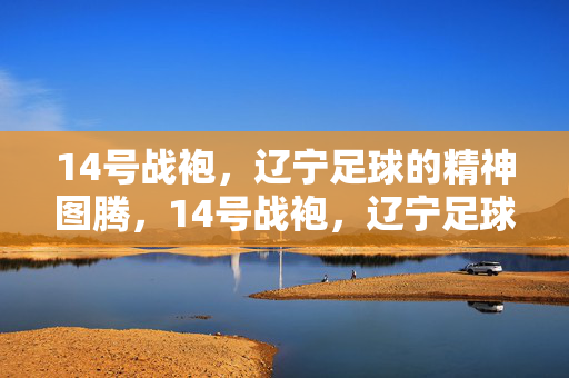 14号战袍，辽宁足球的精神图腾，14号战袍，辽宁足球的精神图腾