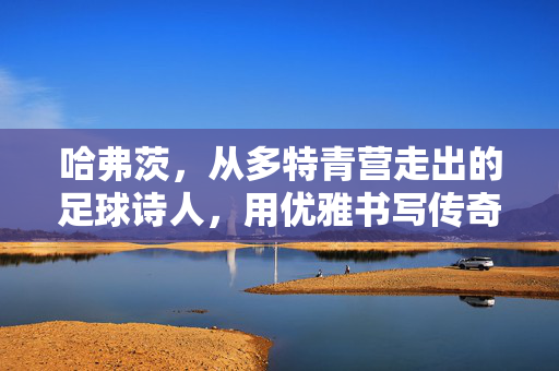 哈弗茨，从多特青营走出的足球诗人，用优雅书写传奇，多特青营走出的足球诗人，哈弗茨的优雅传奇