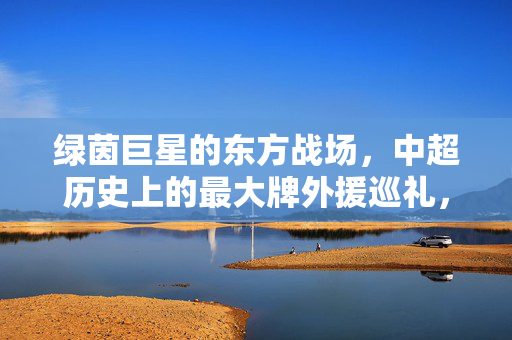 绿茵巨星的东方战场,中超历史上的最大牌外援巡礼,中超历史最大牌外援,绿茵巨星的东方战场巡礼