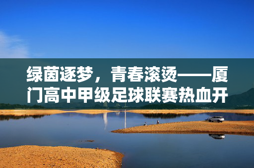 绿茵逐梦,青春滚烫——厦门高中甲级足球联赛热血开赛,绿茵逐梦,青春滚烫——厦门高中甲级足球联赛热血开赛