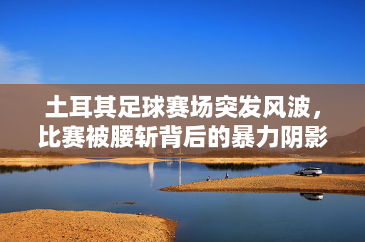 土耳其足球赛场突发风波，比赛被腰斩背后的暴力阴影与体育之问，土耳其足球比赛被腰斩，暴力阴影下的体育之问