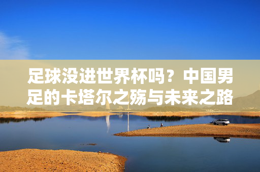 足球没进世界杯吗？中国男足的卡塔尔之殇与未来之路，中国男足卡塔尔之殇，未进世界杯的未来之路