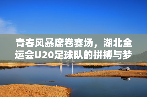 青春风暴席卷赛场，湖北全运会U20足球队的拼搏与梦想，青春风暴正劲，湖北U20足球队拼搏逐梦全运