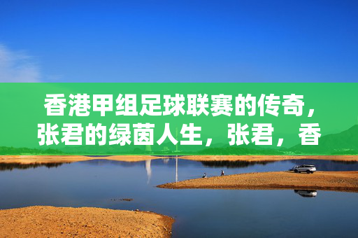 香港甲组足球联赛的传奇，张君的绿茵人生，张君，香港甲组足球联赛的绿茵传奇
