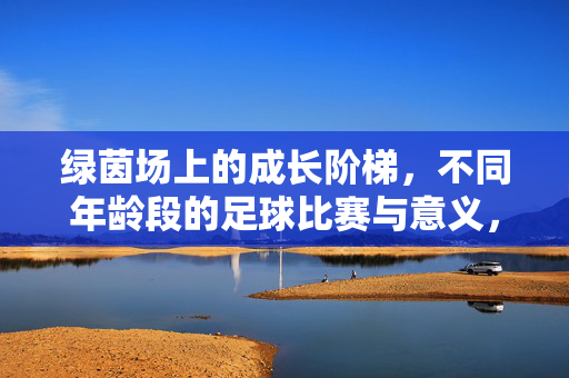 绿茵场上的成长阶梯，不同年龄段的足球比赛与意义，绿茵场上的成长阶梯，不同年龄段足球比赛的意义